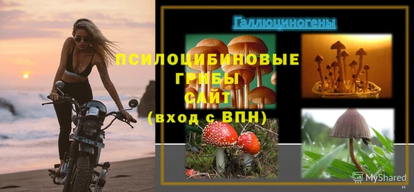таблы Алексин